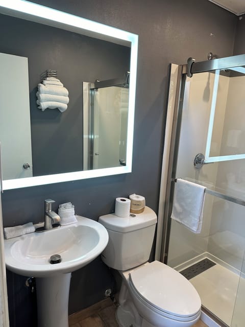 Standard Room, 1 Queen Bed | Bathroom | Shower, free toiletries, hair dryer, towels