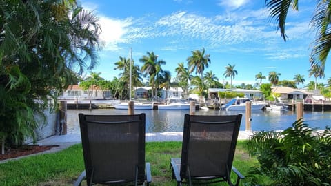 Terrace view 