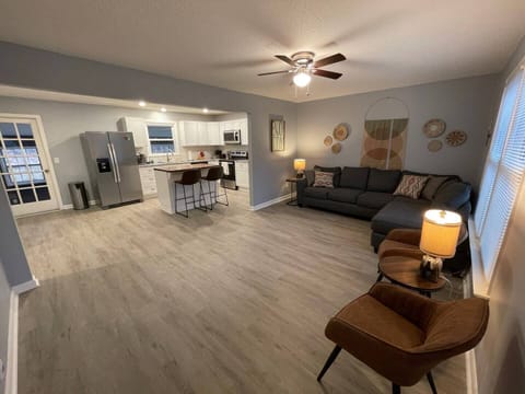 Living Room and Kitchen Area