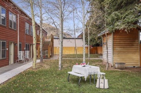 Outdoor Common Backyard