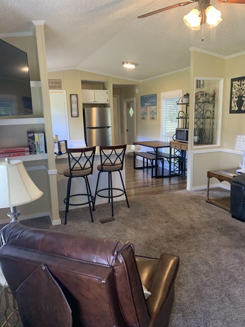 Living room/kitchen entering front door