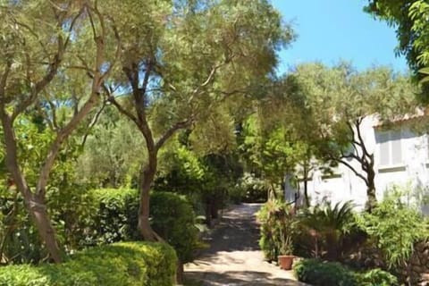 giardino comune del parco