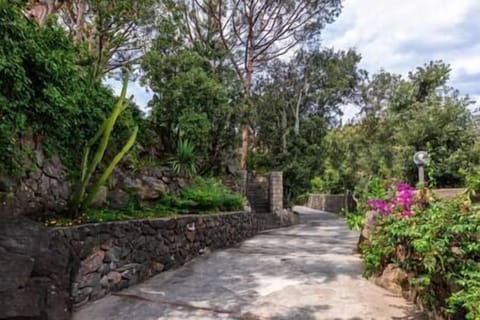 VIALE PRIVATO NEL PARCO CIRCOSTANTE ED ACCESSO ALLA VILLETTA (1)