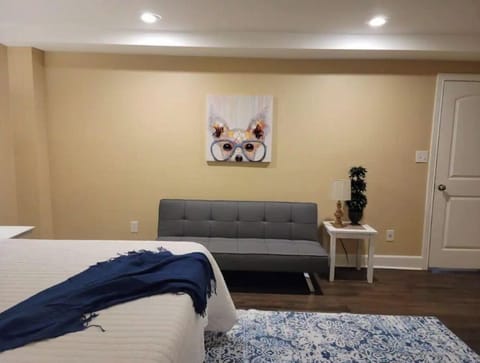 Small sofa bed that converts for smaller individual. Not for a dull size adult.