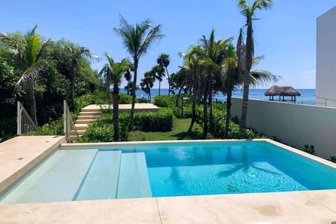 Pool days with palm trees and ocean blues.