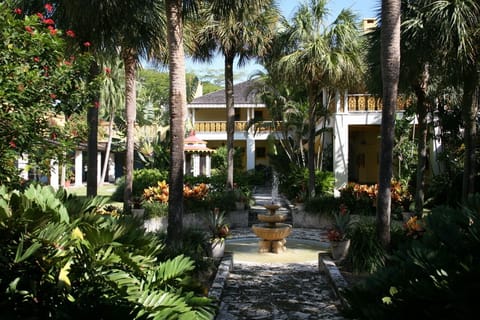 Japanese garden