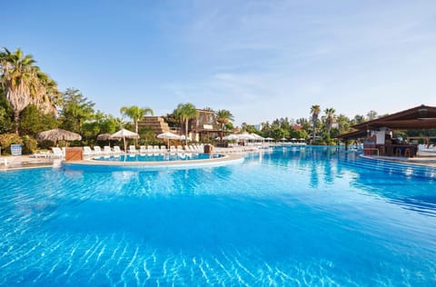 Seasonal outdoor pool, pool umbrellas, sun loungers