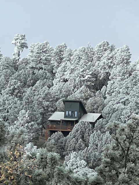 Deer Lover's Paradise in the Winter