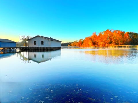 A4EE4913 478E 46BA 85AA 32EDECF8DE23