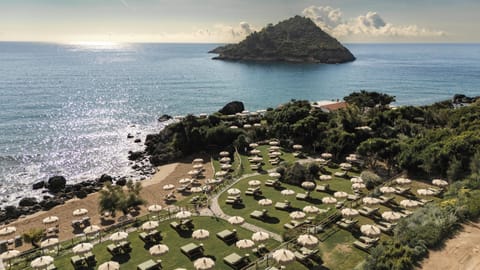 Private beach nearby, free beach shuttle