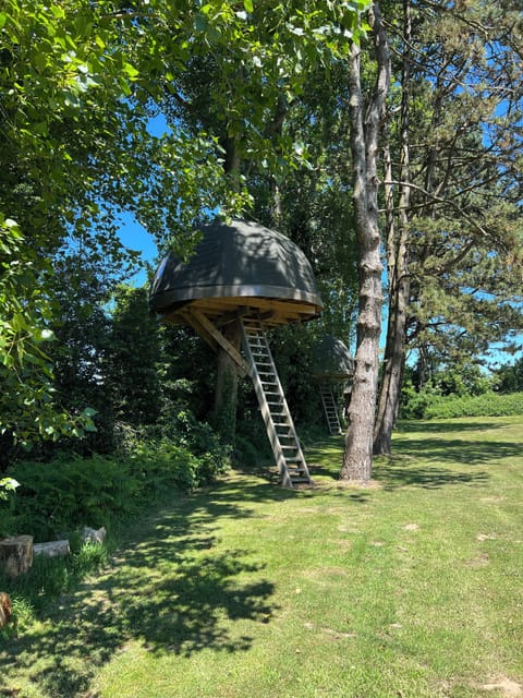 Tree House