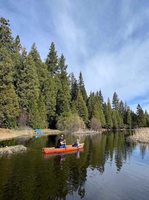 Shaver Lake