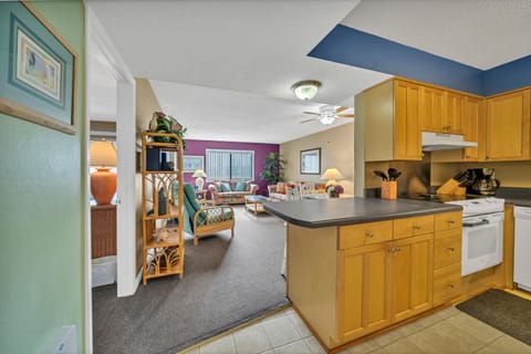 Enter The Condo Into The Open Floor Plan