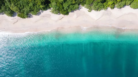 Beach nearby, white sand, free beach shuttle