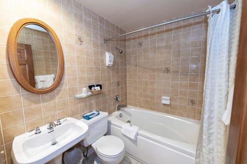 Combined shower/tub, free toiletries, hair dryer, bathrobes