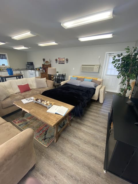 One sofa converts to a full size sleeper. 