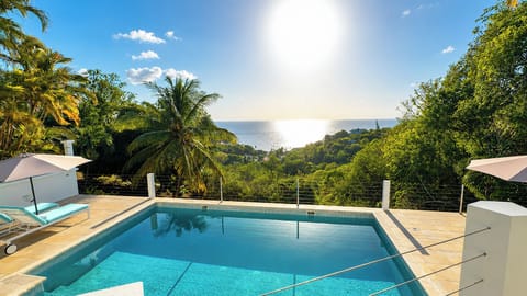 Enjoy some Caribbean sun!