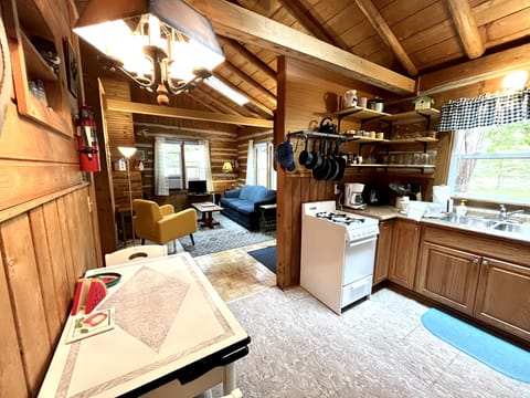 Open kitchen and living room