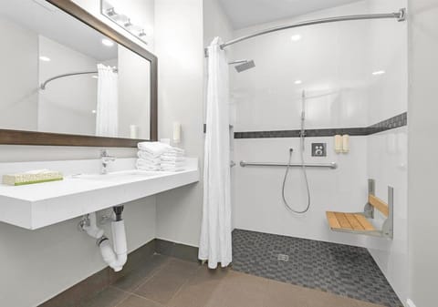 Combined shower/tub, free toiletries, hair dryer, towels