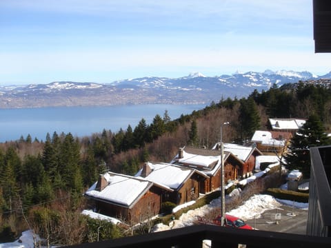 View to the Swiss Alps from the balcony off the living area.