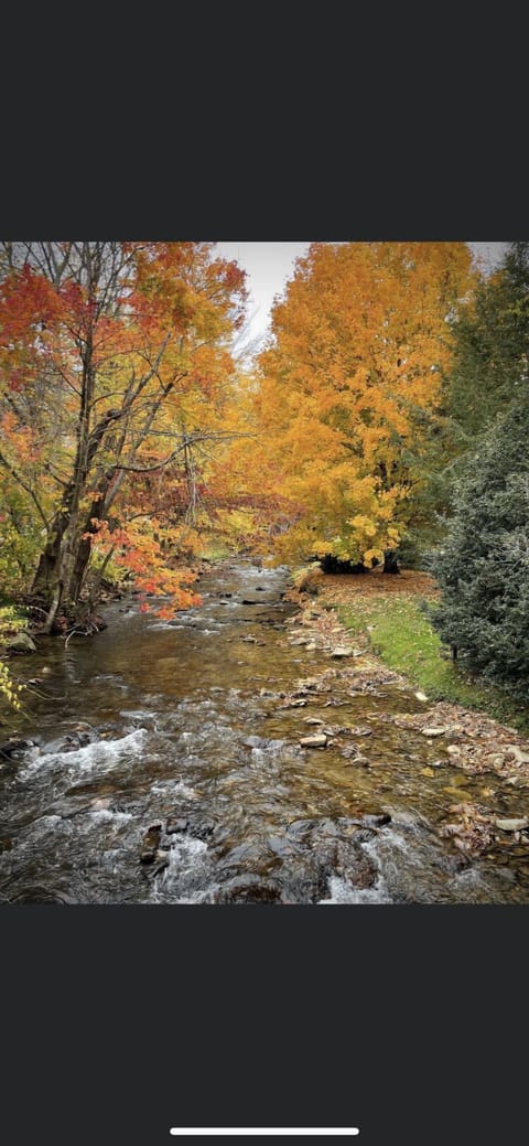 Scenic creek within walking distance of home, local eateries, and shops.