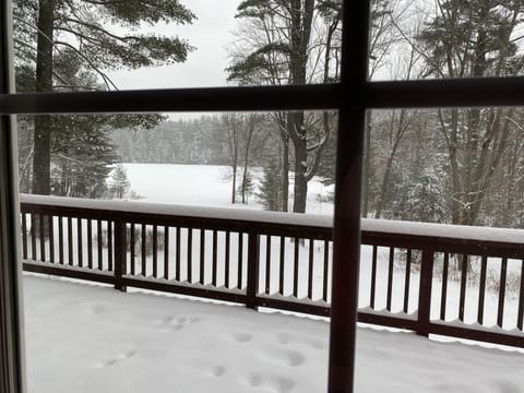 winter view from kitchen