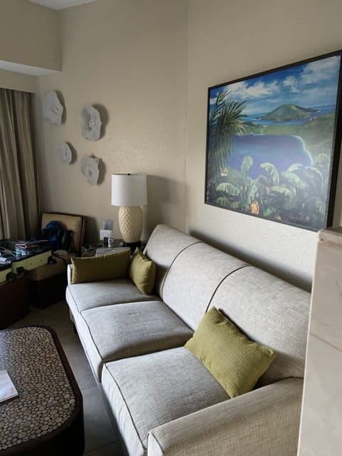 See the views from your living room.  
See Westin St Johns for rm accommodations