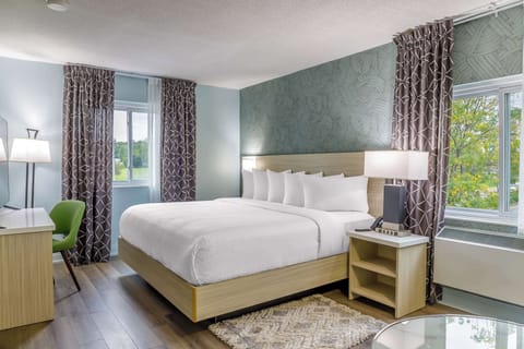 Premium bedding, individually decorated, individually furnished, desk