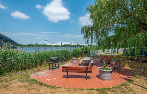 BBQ/picnic area