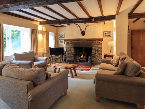 Cottage | Living area | Fireplace