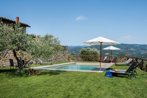 Garden, Outdoor, Pool