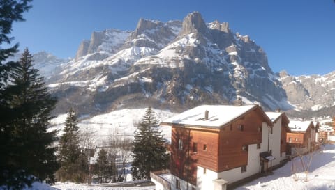 View of the Daubenhorn from the balcony