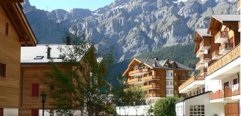 Les Naturelles in Summer