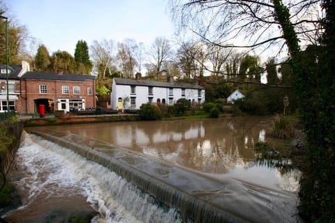 Lymm Lower Dam within walking distance
