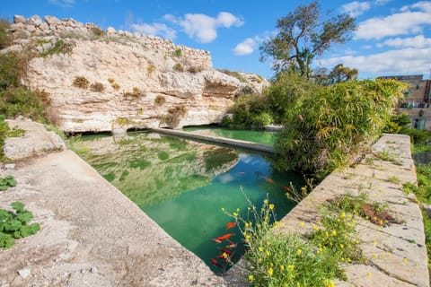 Family Villa, Multiple Bedrooms (POOL & SPA - wellness VILLA St Martin) | Pool | Outdoor pool