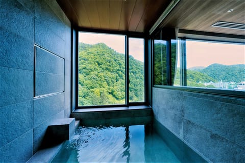 Combined shower/tub, spring water tub, hair dryer, bathrobes