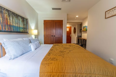King Sized Bed and Closet