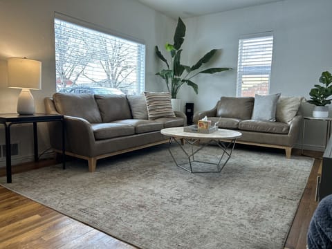 New leather couches in living room