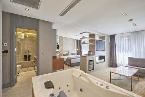 Studio Suite | View from room