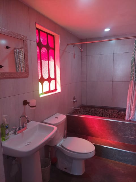 Panoramic Room | Bathroom | Shower, towels, soap, shampoo