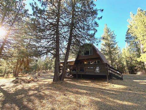 Back of house