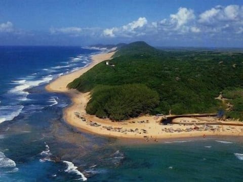 Beach nearby, free beach shuttle, scuba diving