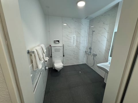 Deluxe Double Room, 1 Double Bed, Roll-in Shower | Bathroom | Shower, hair dryer, towels, soap