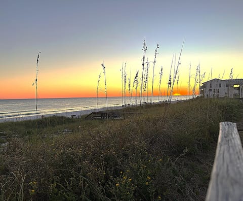 Sunset crop