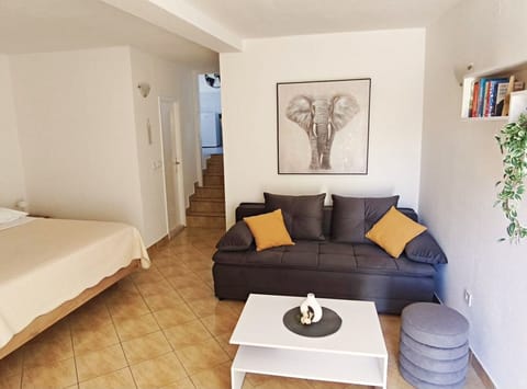 Studio (Studio Apartment with Terrace) | Living room | TV