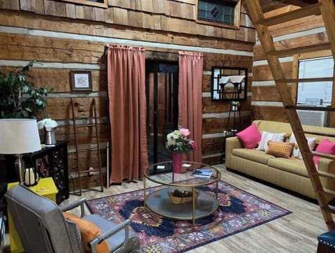 Cozy living room with comfy pull out sleeper sofa.