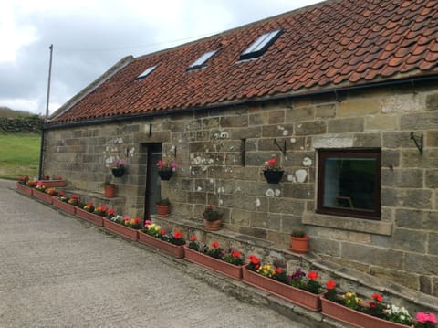 Lapwing Cottage