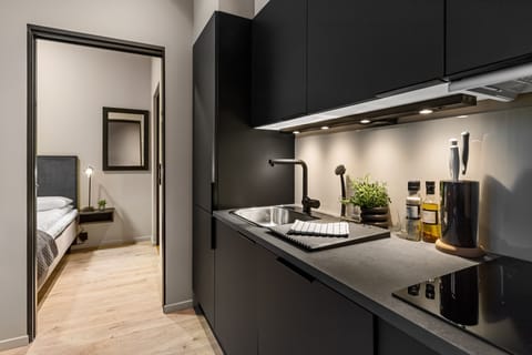 Standard Apartment, 1 Bedroom | Private kitchen | Full-size fridge, microwave, oven, stovetop