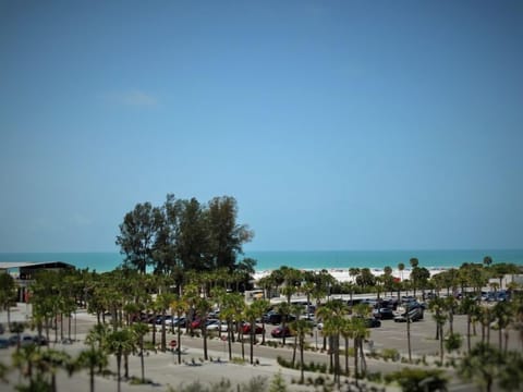 image_155185304