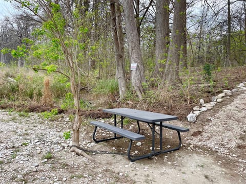 Deep Waters - Sit by the river and watch the world float by.